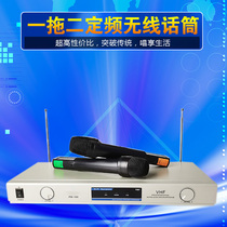 U segment KTV conference room Romance home wireless microphone VHF one with two handheld fixed frequency microphone FM K song