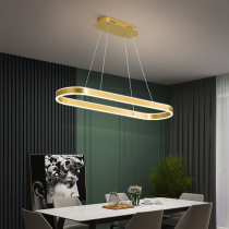Oval chandelier Nordic modern simple atmosphere personality creative light luxury lamps living room 2021 new dining room lamp