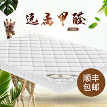 Childrens natural coconut palm mattress Palm cushion hard palm cushion hard 1 8m1 5m mattress Simmons folding mattress