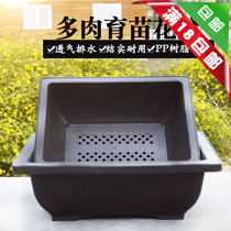 Flower pot meat rectangular meat pot Household plastic flower pot Meat flower pot Landscape pot Special clearance 