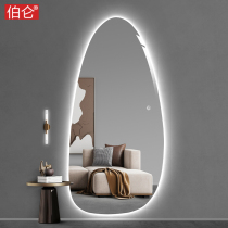 Burun special-shaped decoration intelligent full-body dressing mirror wall porch fitting mirror home bedroom led light mirror