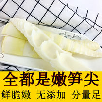 2 kg of fresh bamboo shoots wild bamboo shoots flakes hemp bamboo shoots 10 kg of winter bamboo shoots silk bamboo shoots specialty cold salad hot pot ingredients