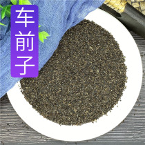 Plantain Seed Herbal Medicine 500g Grams Car Front Seed Cart Front Real Bubble Water Drinking bulk Non-wild Chinese herbal medicine Store Grand full