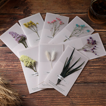 Plant dried flowers simple thank you greeting card blank small card blessing card birthday card creative gift high-end three-dimensional