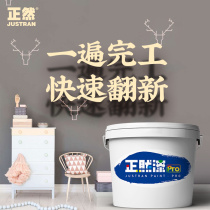 Zhengran paint Pro Wall renovation 1 time completed interior wall water-based latex paint home interior paint white color