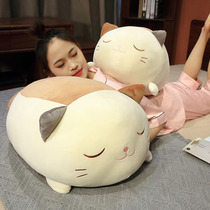 Kitty Cuddle Pillow Ultra Soft Plush Toy Cartoon Cloth Doll Children Appeasement Doll Cute Paparazzi Decompression Gift