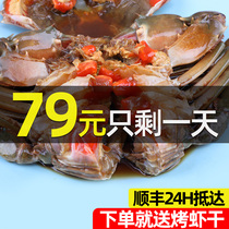Ningbo sauce crab about 400g sauce Green Crab Crab Crab drunk crab sauce red salty crab aquatic products
