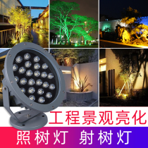 Lighting tree light landscape spotlight ground lamp garden spotlight colorful spotlight led spotlight outdoor waterproof