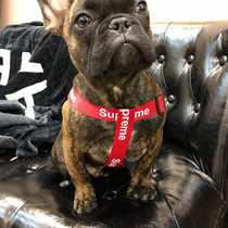 Pet Tide Card Vest Style Item Ring Traction Rope Chest Harness Dog Rope Farfight Kirky Snownery Biumami Go Out