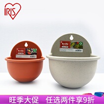 Alice Wall Hanging Pot Thickness Resin European Semi-circular Plastic Hanging Wall Basin Green Flower Hanging Pot