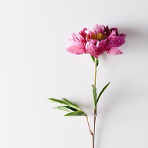 Special Order replacement mugs dont fluttering