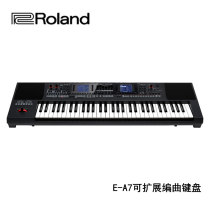 Roland Roland E-A7 intelligent arrangement workstation expandable arrangement keyboard synthesizer electronic organ