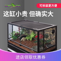 Reptile chameleon lizard feeding box reptizoo tortoise climbing rainforest plant ecological glass tank