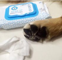  LION-Hot sale odor roller Pet cat and dog universal cleaning deodorant sterilization wipes 50 pumping