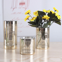 Modern Nordic simple home decoration Living room dining table flower arrangement Gold stripe hydroponic glass vase ornaments