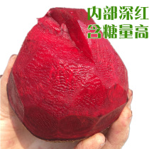 Special vegetable seed beetroot seed purple cabbage head Red Heart Beet Head Spring Autumn sown balcony potted