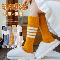 Coral fleece socks womens stockings calf socks thickened plus velvet warm floor socks furniture stockings tb wind socks