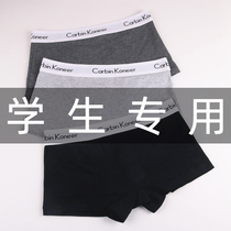 T era neutral pants Les handsome t male and female universal flat angle mid-waist girl student underpants big code cotton underpants