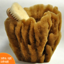 Natural sponge bottled jewelry collection store viewing cabinet set-up table model room decoration sponge non-bath brush