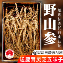 Ginseng Changbai Mountain Wild Mountain Ginseng Forest Ginseng Wild first-class ginseng Northeast Ginseng sparkling wine Dry goods Changbai Mountain gift Box