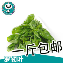 Fresh basil leaf nine-layer tower gold does not change 500g sweet basil leaf European Western spice green sauce