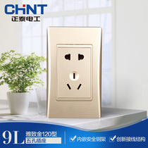 Zhengtai 120 switch socket panel home with champagne gold porous multifunctional combination packed five holes in secret