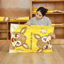 Vacuum compression bag pumping household quilt finishing thickened moisture-proof moving luggage rental clothing packaging storage