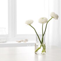 Nordic glass vase desktop vase homestay hotel restaurant bedroom vase home hydroponic flower arrangement