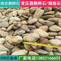 Nanjing transformer pebbles River beach stones River pebbles Washed stones Courtyards Outdoor gardens paving stones Landscaping stones