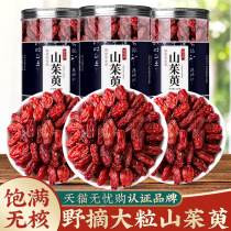 Dogwood Chinese herbal medicine Mountain cornus non-special class wild dogwood tea schisandra Dogwood Dry Soak water to drink