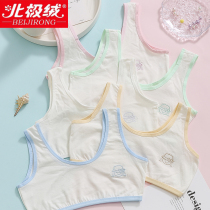 Girl Underwear Hair Development Period Little Vest Girl Child Pure Cotton Elementary School Girl Junior Middle School Girl Young Girl Bra