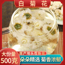 White Chrysanthemum 250 gr Chinese herbal medicine white chrysanthedaisy tea with white chamomile tea yellow white chamomile and white chamomile