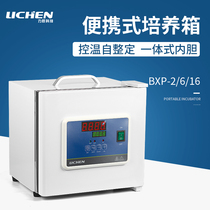 Lichen technology portable digital display incubator electric thermostatic portable 6L microbial bacteria BXP-6