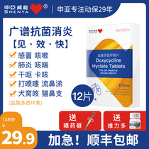 Pet cat cold medicine dog cough fever retching sneezing runny nose cat nasal anti-inflammatory doxycycline