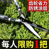  Cut flowers cut powerful household gardeners gardening large scissors lawn repair flowers flowers hedgerows cut flowers and trees orchard family