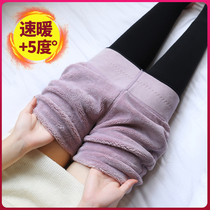 Cotton lady thickened plus northeast special wool bottle outside wearing autumn and winter high waist and ultra-thick warm pants