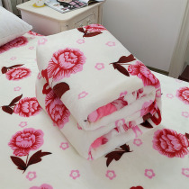 Blanket single bed single winter plush flannel warm thick simple piece plus velvet double cover coral fleece