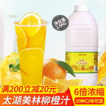 Taihu Meilin A-grade orange juice Blueberry Watermelon Kiwi fruit concentrated juice puree for commercial milk tea shop