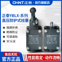 Positive Thai stroke switch YBLX-19 001 Direct-acting automatic reset micro-jiggling limitator roller rocker