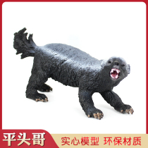 Simulation honey badger toy wild African animal model flat head brother solid plastic childrens cognitive science and education ornaments