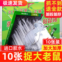 10 powerful sticky rat board mice with mousetrap home Mouse Killer Gram catch Stained Mouse plate glue clip