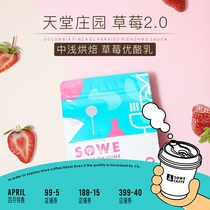 Patchtaste) Colombian Paradise Estate Strawberry 2 0 anaerobic washed boutique coffee bean graced powder 240g