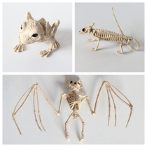 Halloween Horror Decoration Lizard Frog Bat Animal Skeleton Bone Frame Model Haunted House Props