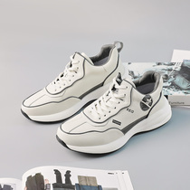 Tonlion Tang Lion mens casual shoes