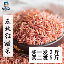 Buy 2 Fa 5 Northeast red brown rice five grains rice farmer fitness red rice red rice pregnant woman whole grain porridge new goods