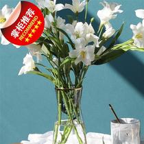 Nordic Wind Glass Vase Minimalist Hydroponic Living Room Swing table Dry floral dress k Ornament Flower Arrangement Hammer Sketch
