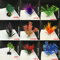 Hotel restaurant cold sashimi dish decoration sushi Japanese and Korean cuisine embellishment plate flower and grass plate decoration