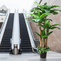 Fake Tree Plantain Tree Emulation Plant Fake Potted indoor decoration Brigade Banana Living Room Furnishing Large Banana Tree Bonsai