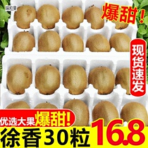 Week To Xu Fragrant Kiwi Fruits Fresh Fruit When Season Full Box Should Green Heart Pregnant Woman Catty Macaque 10 Odd Kiwi Fruit