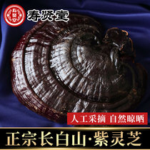 Changbai Mountain Ganoderma lucidum Purple Ganoderma lucidum Linzhi non-a pound wild premium whole branches can be sliced wine-soaked black Ganoderma lucidum 250g